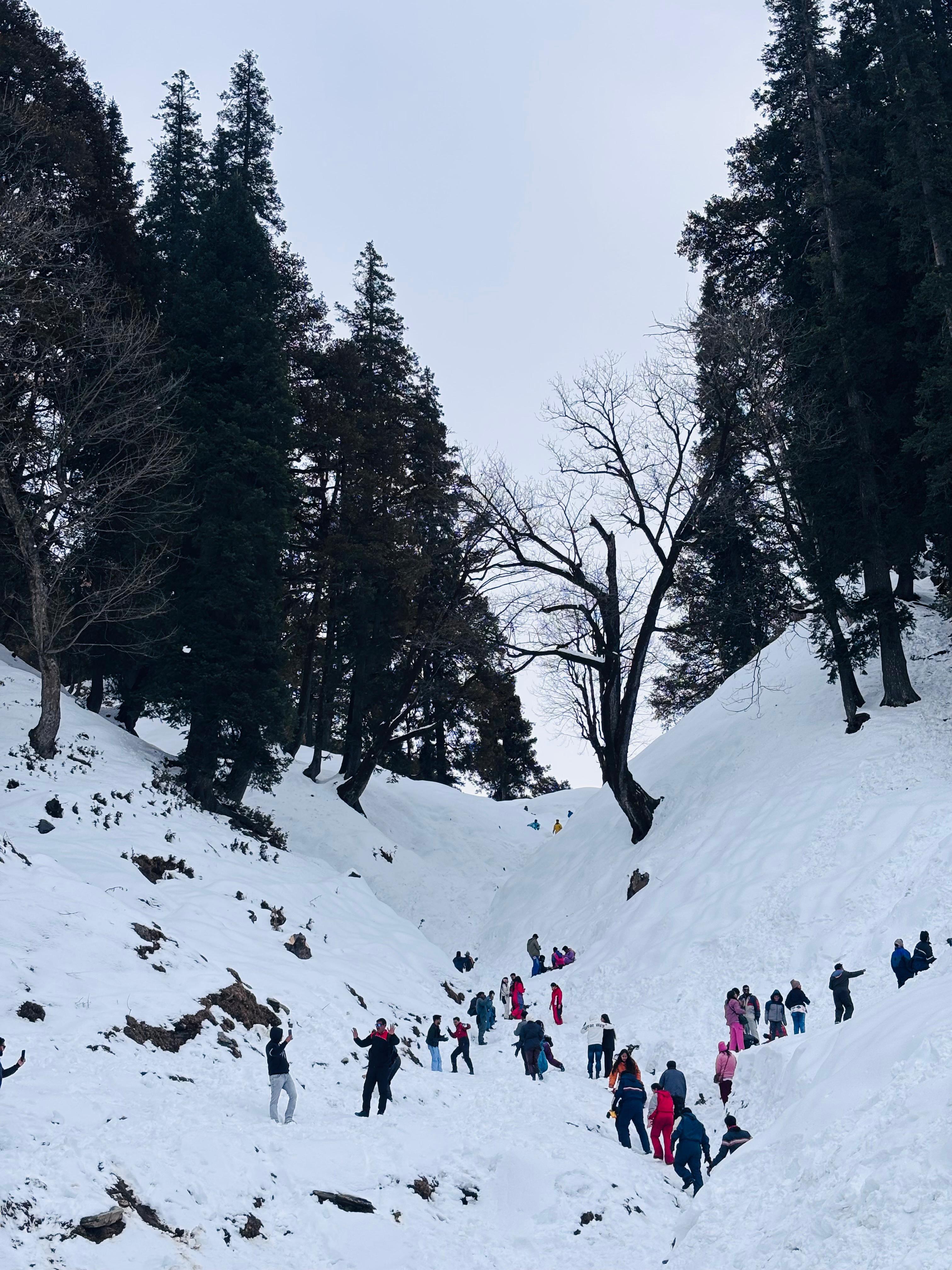 Moreshwar Holidays Manali holiday photograph